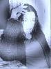 amorphis